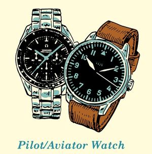 Pilot-Aviator-2